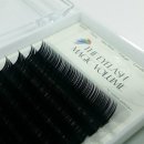 더 아이래쉬