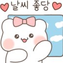 365북카페 이미지