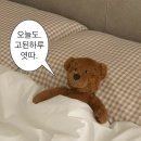 출근을 앞둔 백수의 마지막 일주일 모음집