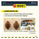 제일방제 - 연천군 | 제일방제