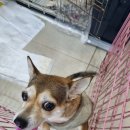 신현동물병원 이미지