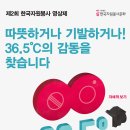 (~10/11) 제 2회 한국자원봉사 영상제 (행정자치부 장관상, 총 700여만원의 상금) 이미지