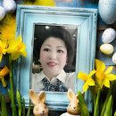 영신그릇