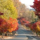 팔공산올레길 7코스 이미지