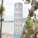 전남 무안 맛집 여름에는 낙지물회지!