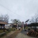 초평로 | 🐓 진천 에코팜 체험 후기 (아이들과 함께한 소소하지만 알찬 하루)