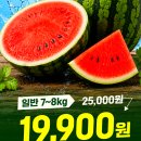 고당도 수박 추천, 하우스 대용량 프리미엄 수박 실패 없는 구매 후기