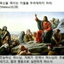스테파노의 보물들