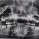 세종꾸러기소아치과의원 이미지