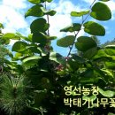 영선농장 이미지