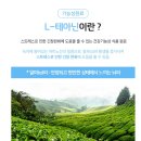 더피팅랩