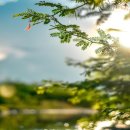 굿뉴스요양병원 이미지