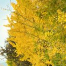 대율보건진료소 이미지