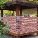 치악산약국 이미지