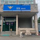 댕댕이 지구대 이미지