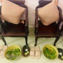 로즈마리&황실