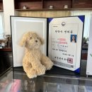 효산 한의원 이미지