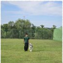 굿데이독 케어센터 이미지