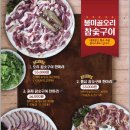 불미골오리 이미지