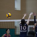 스마일팡팡 이미지