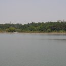 풍암호수공원 이미지