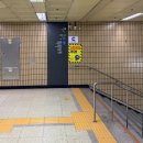 종로 팔팔 온누리 약국 | [종로] 종로팔팔온누리약국 글루콤성지 (직접방문, 내돈내산)