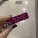 백악관관광나이트 이미지