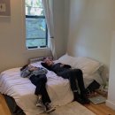 디어 무드 이미지