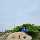 영 농장 Daum카페