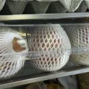 홍현농장 이미지