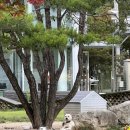 조원뽑기방 이미지