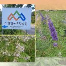 법인숲속의자연관광농원