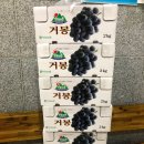 다은유통