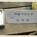 의령농장 이미지