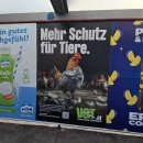 KG 태권도장 | 20250618 오스트리아 빈 출장: 출근 + 퇴근 후 나쉬마르크트(Naschmarkt)의 닥터 팔라펠(DR-FALAFEL...