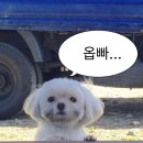 없음 이미지