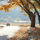 새방골산방 이미지