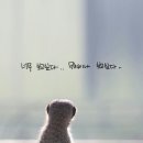 캘리그래피 이미지