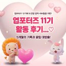 더큰행복11 | 대학생 대외활동 추천｜엽포터즈 11기 활동 후기 및 장단점
