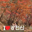 강천산 힐링가 | 🍁 강천산 여행기 — 가을 단풍 맛집 제대로 다녀왔어요