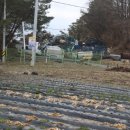 세도자원 이미지