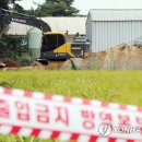 윤태현농장 이미지