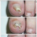 레푸스서초교대역점 이미지