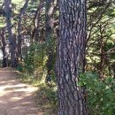 고성 용촌리~고성 통일전망대