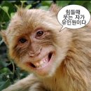 예은농장 | 내가 ㄹㅇ 성공하고 만다