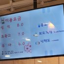 냥이 싸롱 이미지