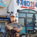 추자바다25시 이미지