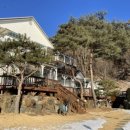 웰리힐리 스키장 이미지