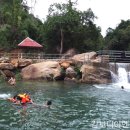 영장농장 이미지