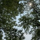 호민저수지(서) 이미지